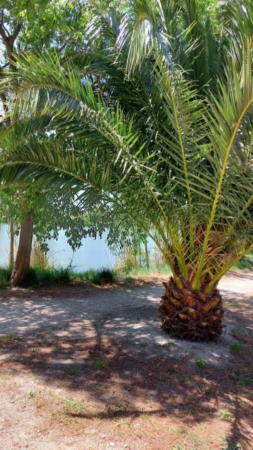 Aux Abords Du Lac Arles Exterior foto